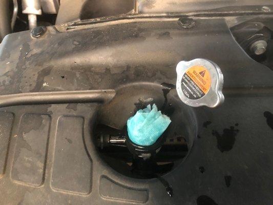 Windshield fluid in the radiator.