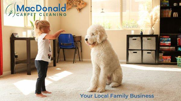 Macdonald Carpet Cleaning