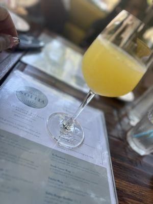 Mimosa