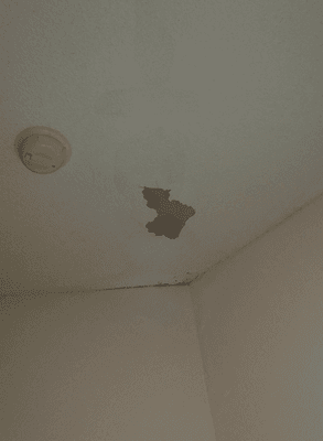 Existing water damage. Still not fixed