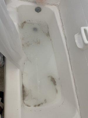 bathtub drain not working, bringing dirty water back up the drain, disgusting and unusable