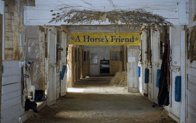 A Horse's Friend