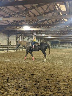 Post & Rail Stables Inc
10362 OH-64
Swanton, OH 43558
(419) 826-9934