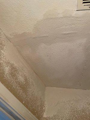 Ceiling work repair