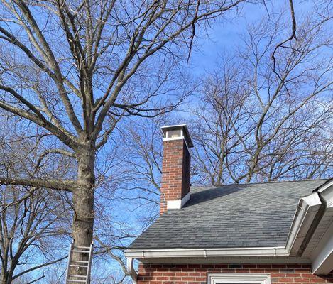 Chimney cap