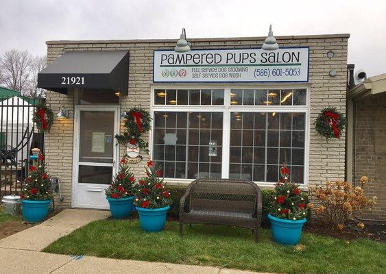 Pampered Pups Salon