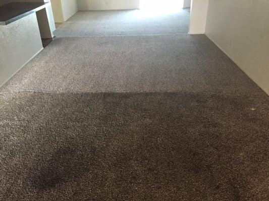 Carpet clean test before and after