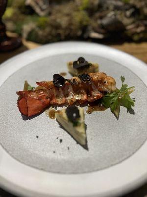 Lobster with truffle aioli with fresh black truffles