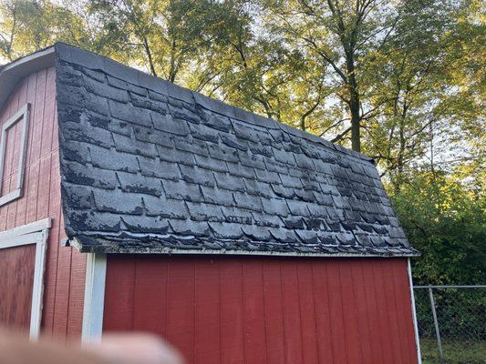 Old shingles