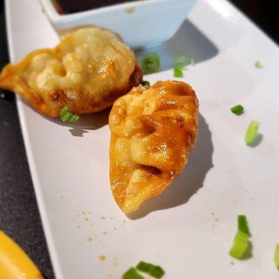 Gyoza goodness