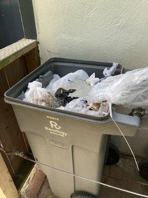 We put out small produce bags of garbage 2x week. How long did it take to fill this garbage box plus another?? Months??