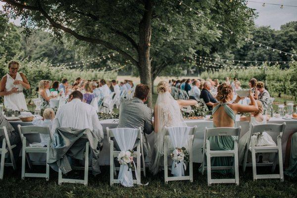 Wedding and Event Rentals