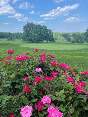 9th Green