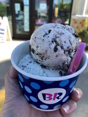 Double scoop! Mint Chocolate Chip & Cookies n Cream