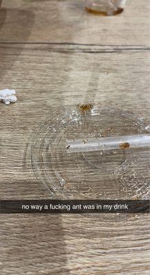 a ant on the straw