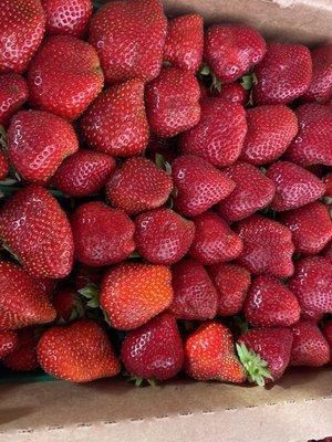 Local strawberry are still available