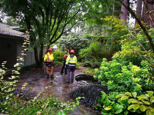 They are cleaning my yard and pond after work done