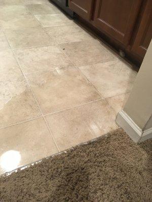 The river of water on our kitchen floor that seeps into the carpet