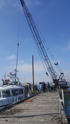 they helped with the "Clean Sweep" harbor clean-up