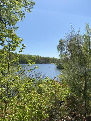 A view of the lake from the Lakeside Trail.