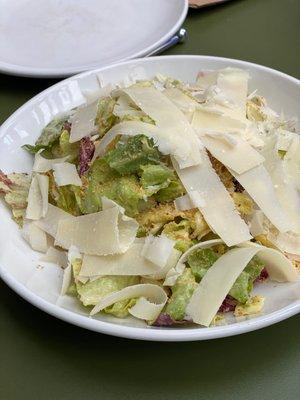 chicories, caesar, breadcrumbs, grana