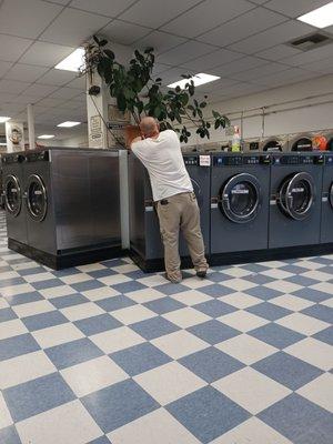 Blue Lagoon Laundry