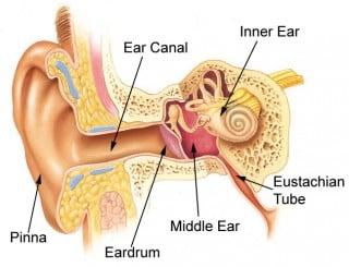 Otology