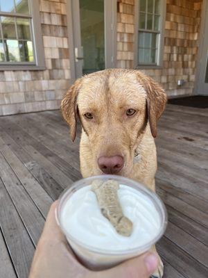 Pup cups!