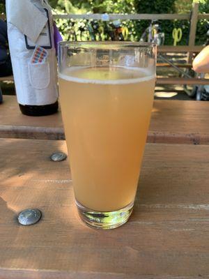 Guava Gose