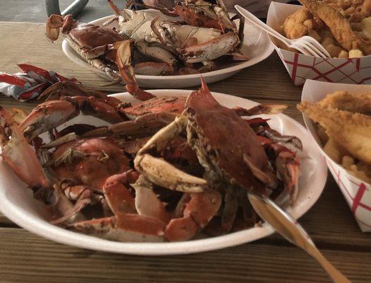 It's ALL YOU CAN EAT BLUE CRABS. I love seafood and was very happy.