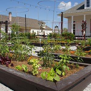 Community garden we installed for a local neighborhood.