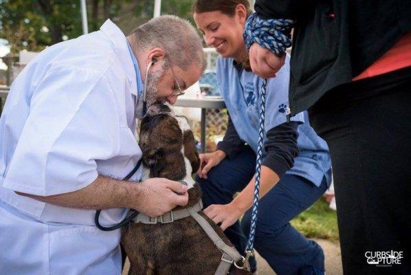 Norwood Animal Clinic