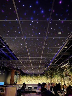 LED stars on the ceiling and the main dining space