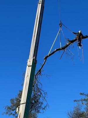 Redding Tree Service, Inc