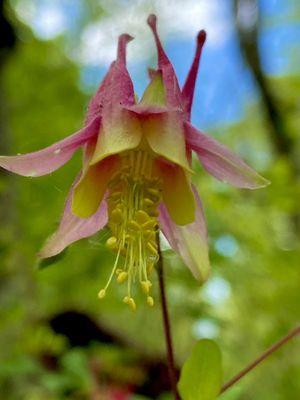 Burr Oak Woods Conservation Nature Center