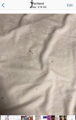 Here are my dirty sheets that they did not change after I asked. I had to go to the front desk, get a sheet and change it myself.