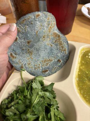 Blue corn tortillas