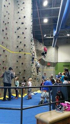 The climbing wall for birthday partys