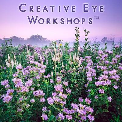 Creative Eye Workshops: Photography classes where you build confidence and learn to photograph the things you love most!