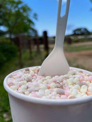 Banana Split ice cream flavor. (A blend of Vanilla, Chocolate, Strawberry and Banana.)