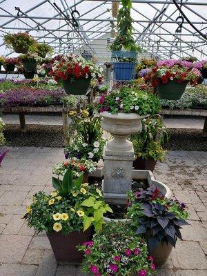 Nursery garden center plants for sale