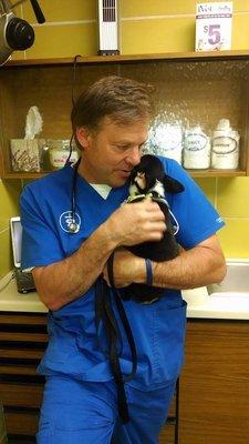 Dr. Carlisle snuggling with a Corgi puppy during her initial visit.