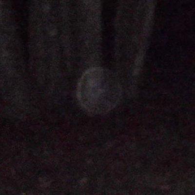 Face in an orb.  I believe it is General Stoneman.