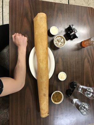 Paper dosa $9.99