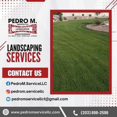 Transform your outdoor space with Pedro M. Service LLC