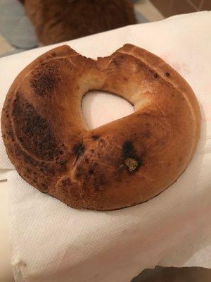 Burnt bagel