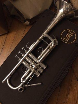 I haven't been able to find any good L bore Bach Stradivarius C trumpet, so I thought CML mmmm