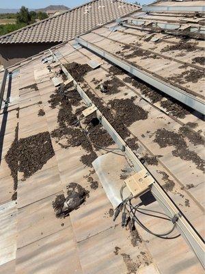 The mess Pigeon Pros left under my solar panels