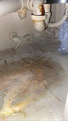 Leaking sink