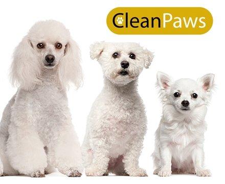 Clean Paws cleans dogs.